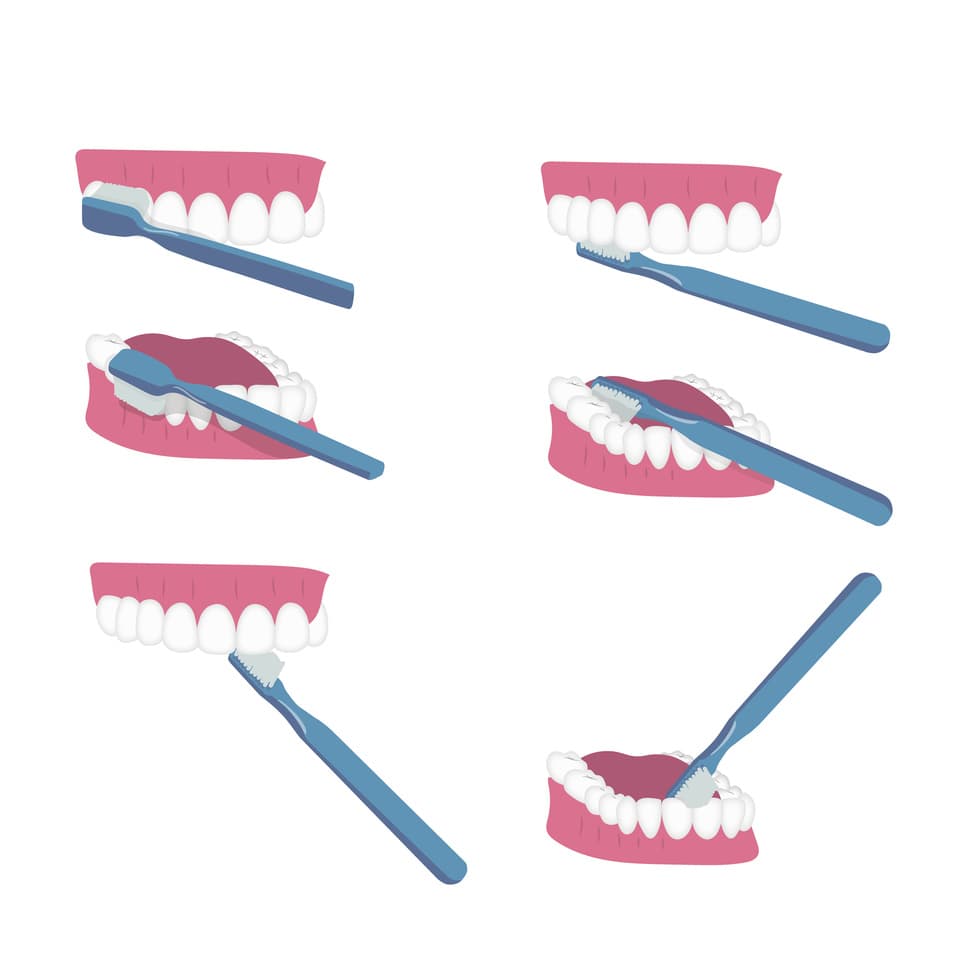 pasos cepillado dental